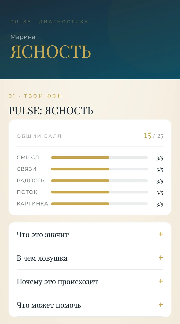 Пример PULSE-отчёта: баллы по пяти шкалам